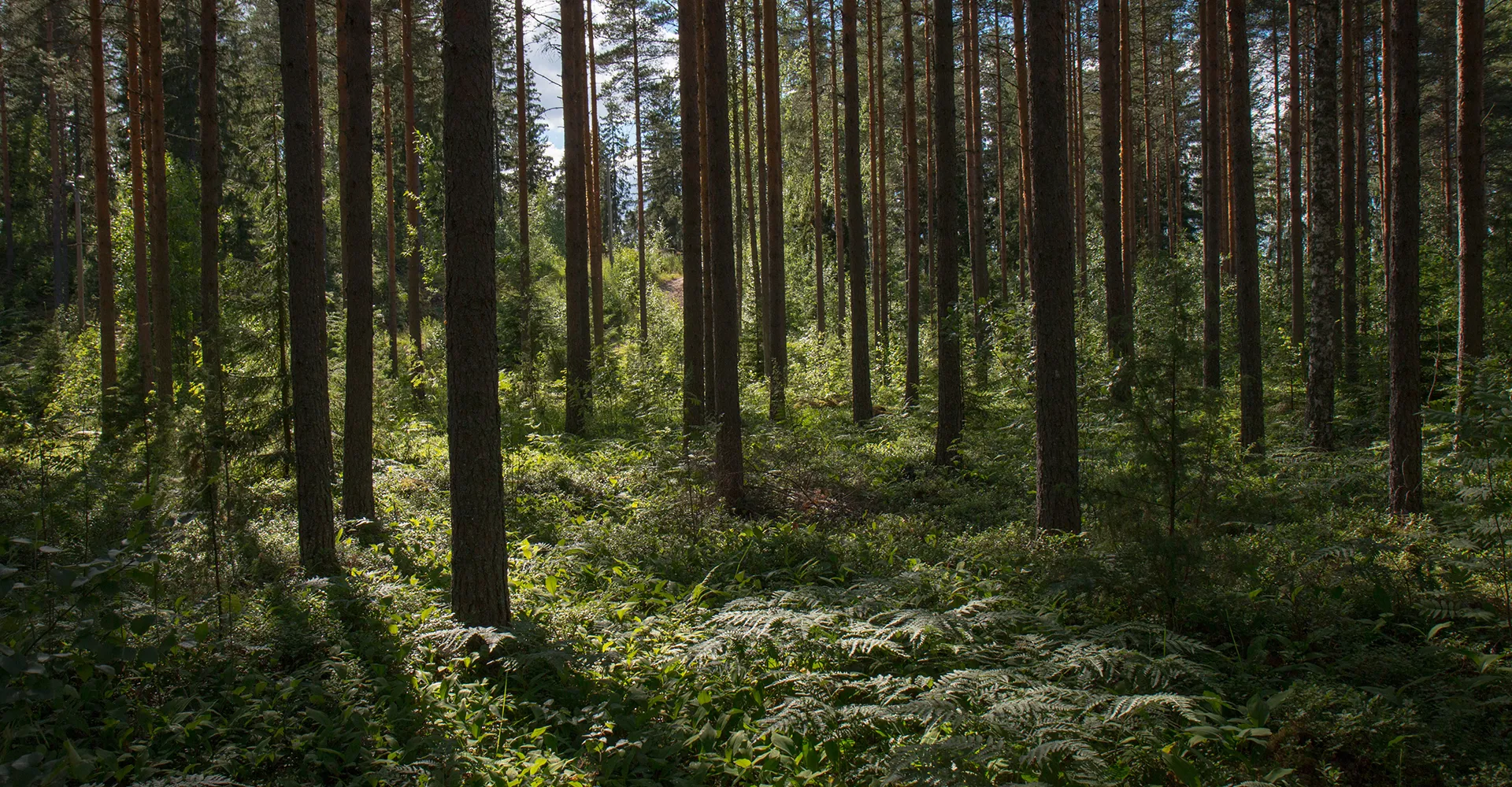 Environmental protection