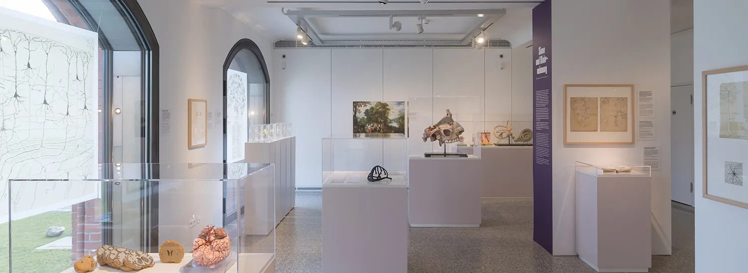 BMM / The Brain in Science and Art
