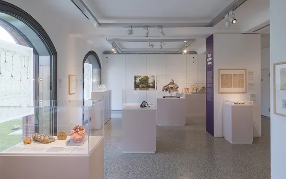 BMM / The Brain in Science and Art